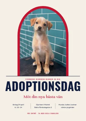Adoptionsdag på djurräddningen