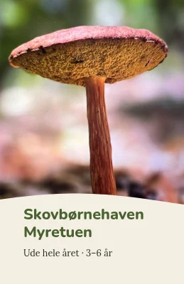 Skovbund