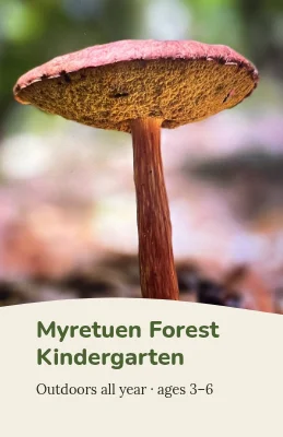Forest floor