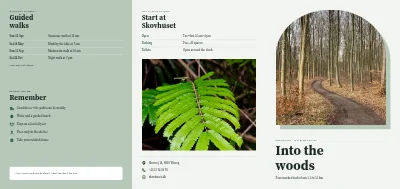 Forest walking trails