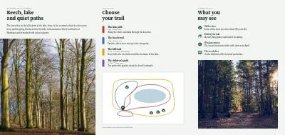 الصفحة 2 من Forest walking trails