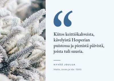 Joulukortti — henkilökohtainen viesti