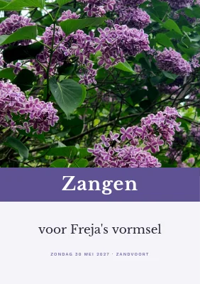 Vormselliedboekje — lila en violette band