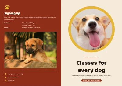 Dog school: classes and prices