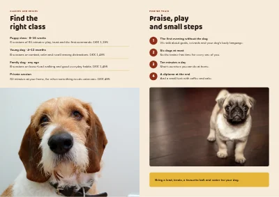 Page 2 of Dog school: classes and prices