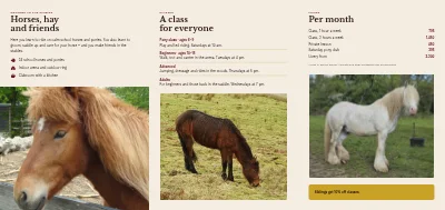 Pagina 2 di Riding school