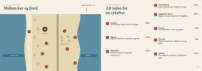 Side 10–11 af Velkomstmappe for sommerhusudlejer – 20 sider