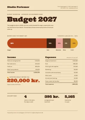 Budget overview — nail studio