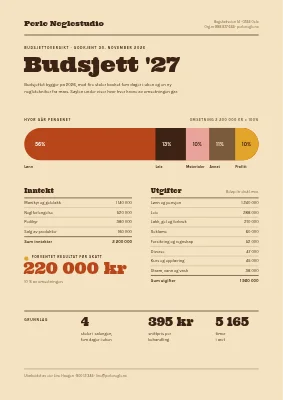 Budsjettoversikt — neglestudio