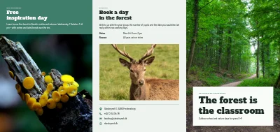 Nature school and outdoor learning