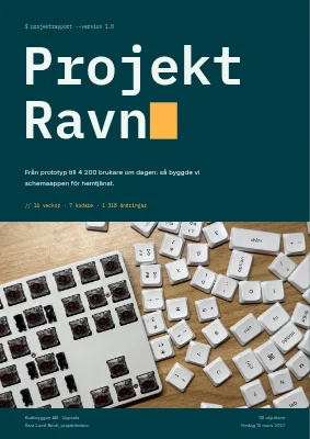 Projektrapport — mjukvaruföretag i startfasen
