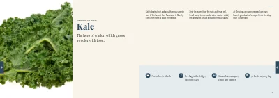 Pages 72–73 of Cookbook for a farm shop – 96 pages