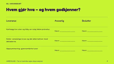 Side 3 av Tryggere sykkelpendling