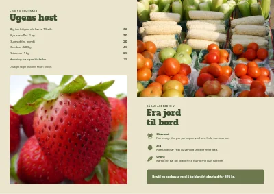 Side 2 af Gårdbutik med æg og grønt