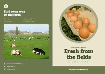Farm shop with eggs and vegetables