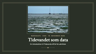 API-introduktion — tidevandsdata