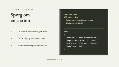 Side 4 af API-introduktion — tidevandsdata