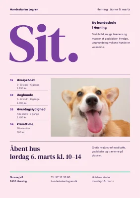 Hundeskole — åbning og nye hold
