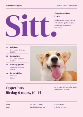 Hundskola — invigning och nya kurser