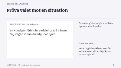 Sida 3 av Butiken som guide