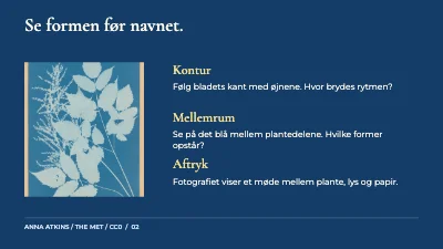 Side 2 af Lys, blad og spor