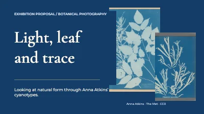 Light, leaf and trace