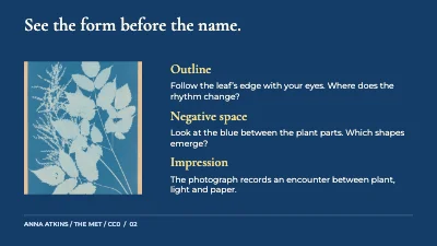 Page 2 of Light, leaf and trace