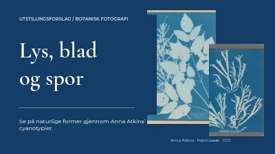 Side 1 av Lys, blad og spor
