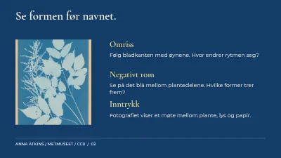 Side 2 av Lys, blad og spor
