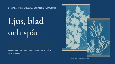 Sida 1 av Ljus, löv och spår