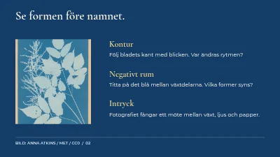 Sida 2 av Ljus, löv och spår