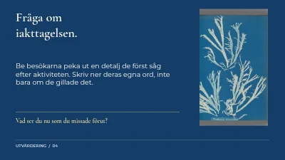 Sida 4 av Ljus, löv och spår