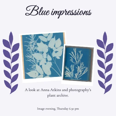 Blue impressions · botanical letter