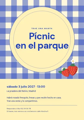 Picnic en el parque — manta de cuadros vichy