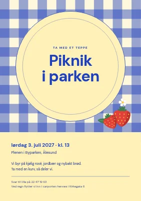 Piknik i parken — rutete pledd