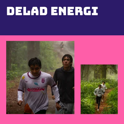 Delad energi · fet duotonsruta