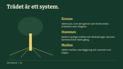 Sida 2 av Rot, rum och tid