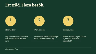 Sida 3 av Rot, rum och tid
