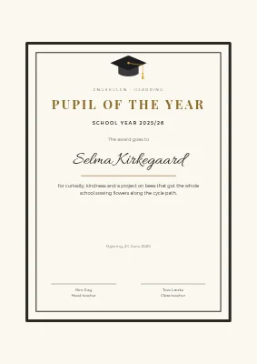 School certificate — pupil of the year