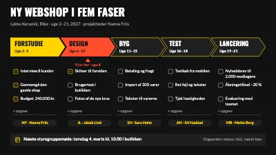 Projektfaser i fem trin