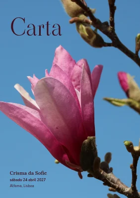 Menu de crisma — magnólia num céu azul