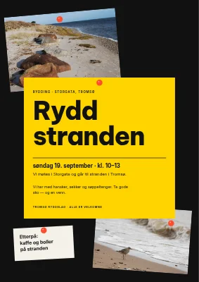 Søppelplukking — rydd stranden