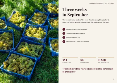 Pages 14–15 of Brochure for a Danish vineyard – 24 pages