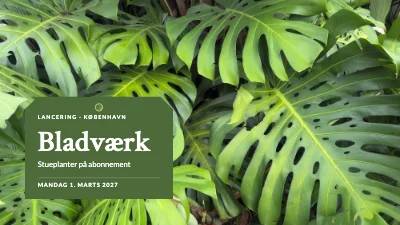 Produktlancering — stueplanter på abonnement