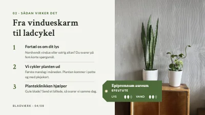 Side 4 af Produktlancering — stueplanter på abonnement