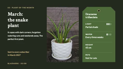 Page 5 of Product launch — houseplant subscription