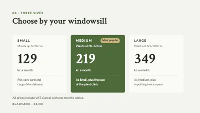 Page 6 of Product launch — houseplant subscription