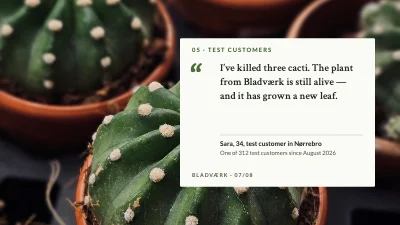Page 7 of Product launch — houseplant subscription