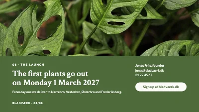 Page 8 of Product launch — houseplant subscription