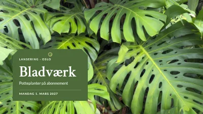 Produktlansering — abonnement på stueplanter